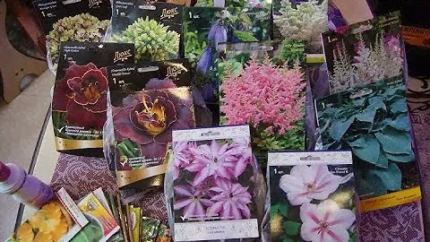 МЕГА ЗАКУПКА МНОГОЛЕТНИХ РАСТЕНИЙ ДЛЯ САДА, СЕМЕНА И...