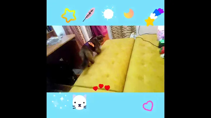 Новый костюм кошки Кати