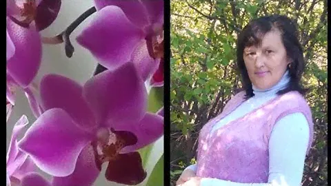 "ОРХИДЕЯ"/МК/ЖИЛЕТ АЖУРНЫЙ ИЗ ПРЯЖИ АЛИЗЕ ОМБРЕ БАТИК