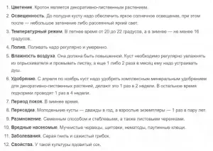 Кодиеум Батик разветвленный