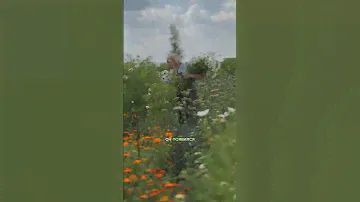 Шикарный цветок СТАЛ ХИТОМ среди флористов!