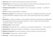 Кодиеум Батик разветвленный